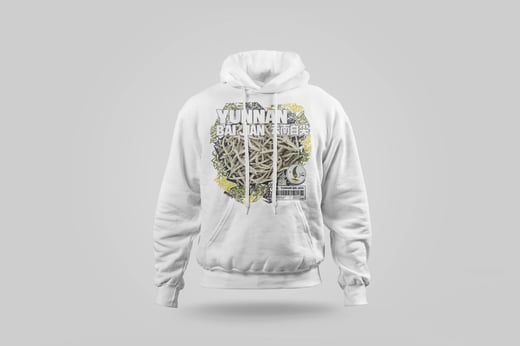 Hoodie — Bái Jiān